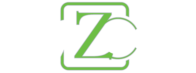 PayZoom